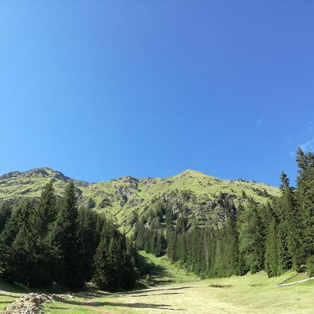 Апартаменты Bichlerhof Хопфгартен-ин-Деферегген Экстерьер фото