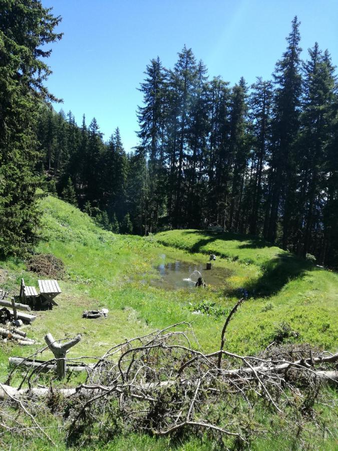 Апартаменты Bichlerhof Хопфгартен-ин-Деферегген Экстерьер фото